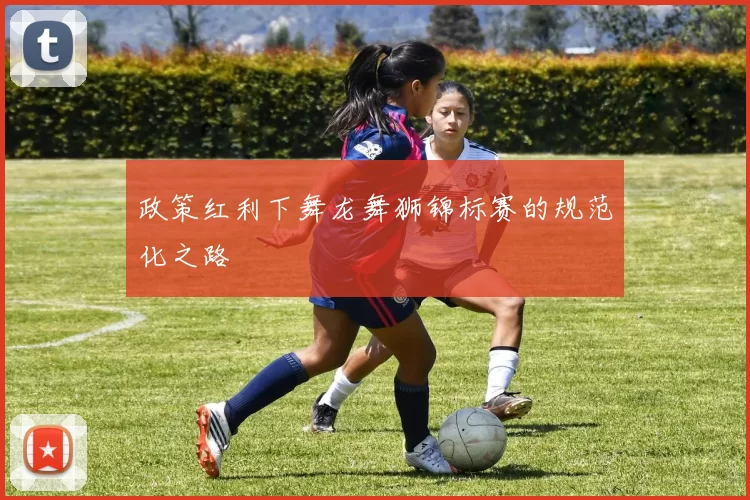 政策红利下舞龙舞狮锦标赛的规范化之路