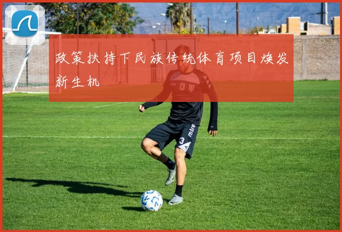 政策扶持下民族传统体育项目焕发新生机