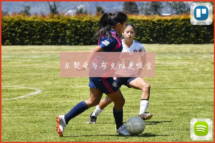 东契奇与布克谁更吸金