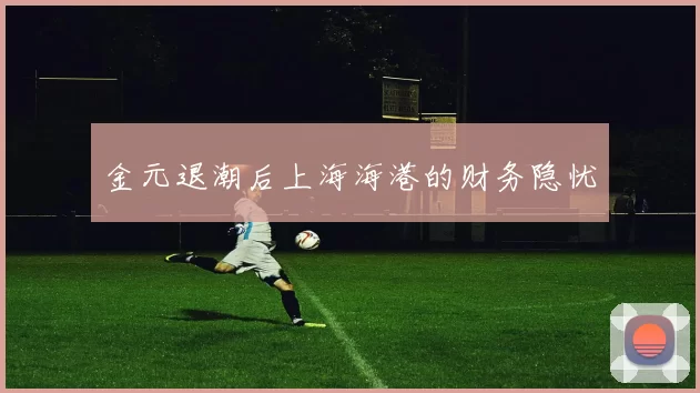金元退潮后上海海港的财务隐忧