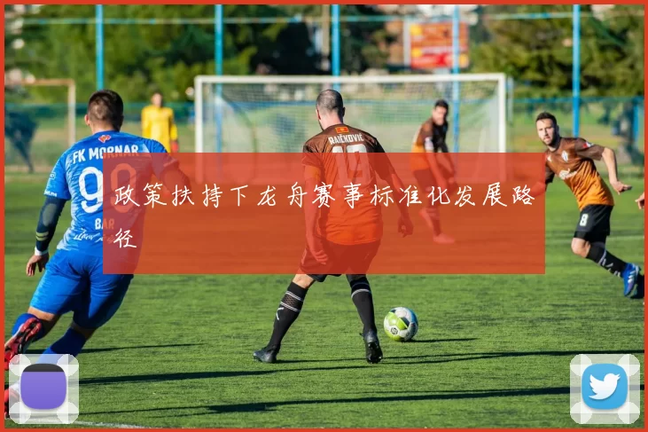 政策扶持下龙舟赛事标准化发展路径