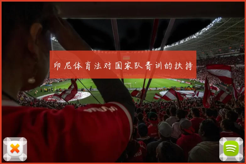 印尼体育法对国家队青训的扶持