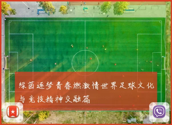 绿茵逐梦青春燃激情世界足球文化与竞技精神交融篇