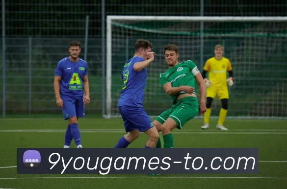 多媒体互动体验